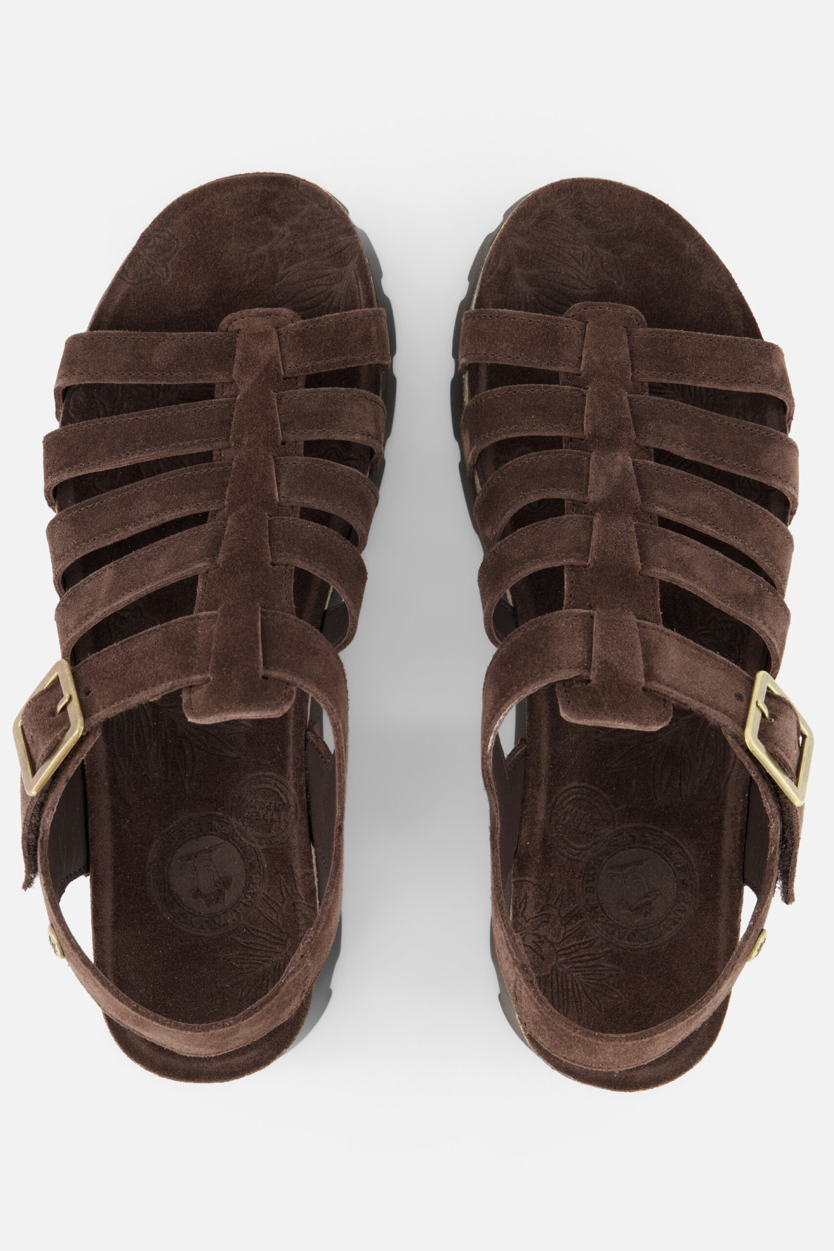 Panama Jack Sasha Sandalen bruin Suède - Image 3